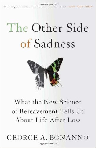 the other side of sadness book